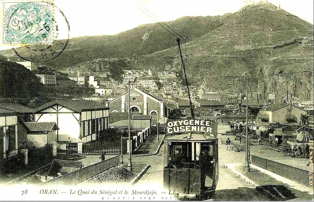 PO e- 029.jpg